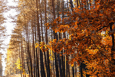 开云体育-英格兰血洗马德里竞技，马尔基尼奥斯高光表现