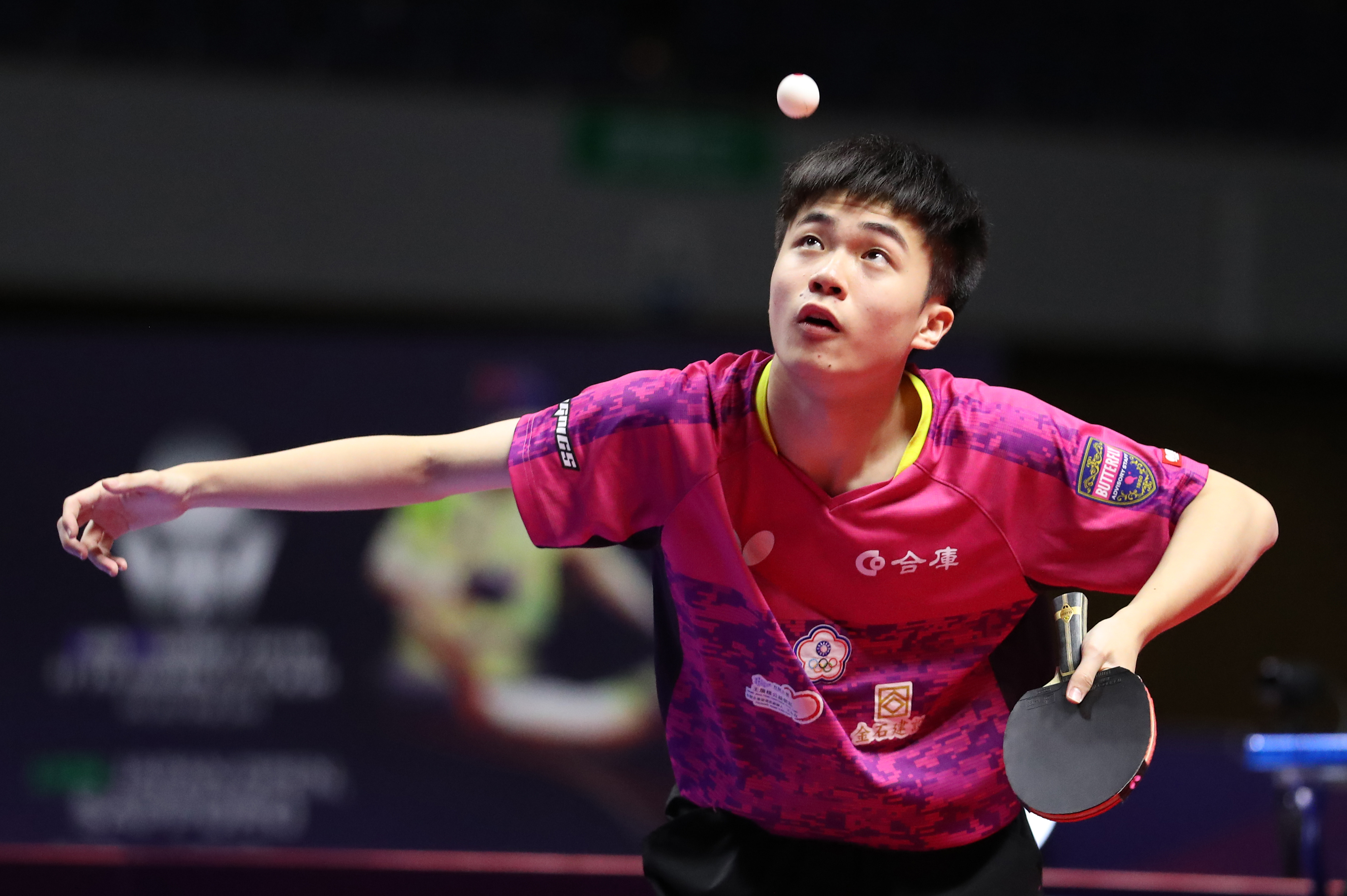 包含日本乒乓球队强势波兰乒乓球队，许昕惊艳世界的词条