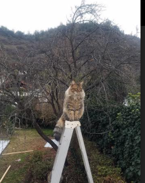 利物浦式防守铸就钢铁防线,斯通斯梅开二度助英格兰轻取乌克兰